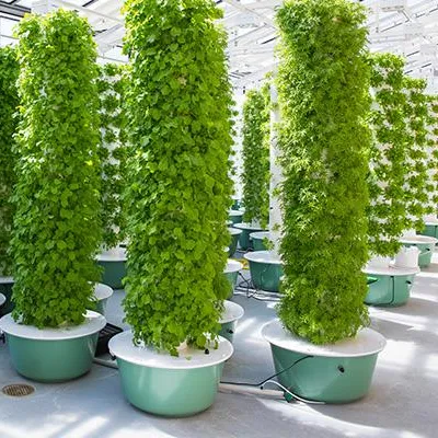Hydroponic Tower - Aeroponische Turm-Gartensysteme mit Beleuchtung für 60