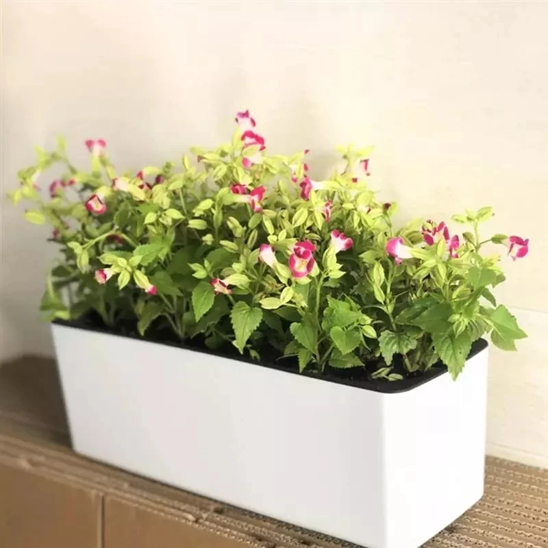 Hydroponic Grow Pod - Rectangula Lazy Flower Pot Topf Hydrokultur