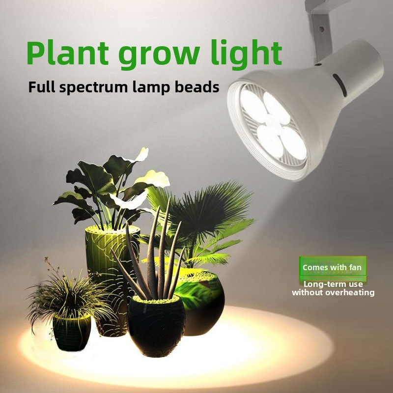 Vollspektrum-LED-Pflanzenlampe – Plant Grow Light Full Spectrum Bewertung und Preis