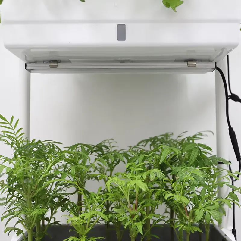Beweglicher Vertikaler 3-Ebene – Self Watering Planter Bewertung und Preis