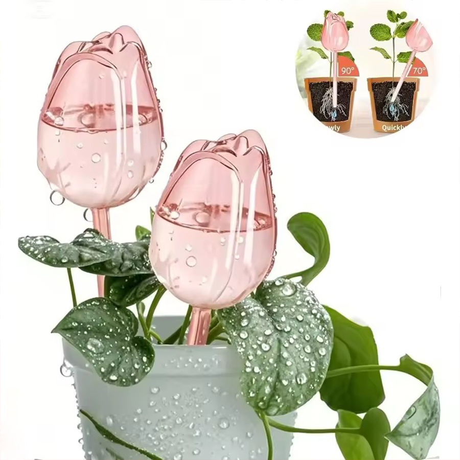 Transparenter, dicker PET-Tulp – Self Watering Planter Bewertung und Preis