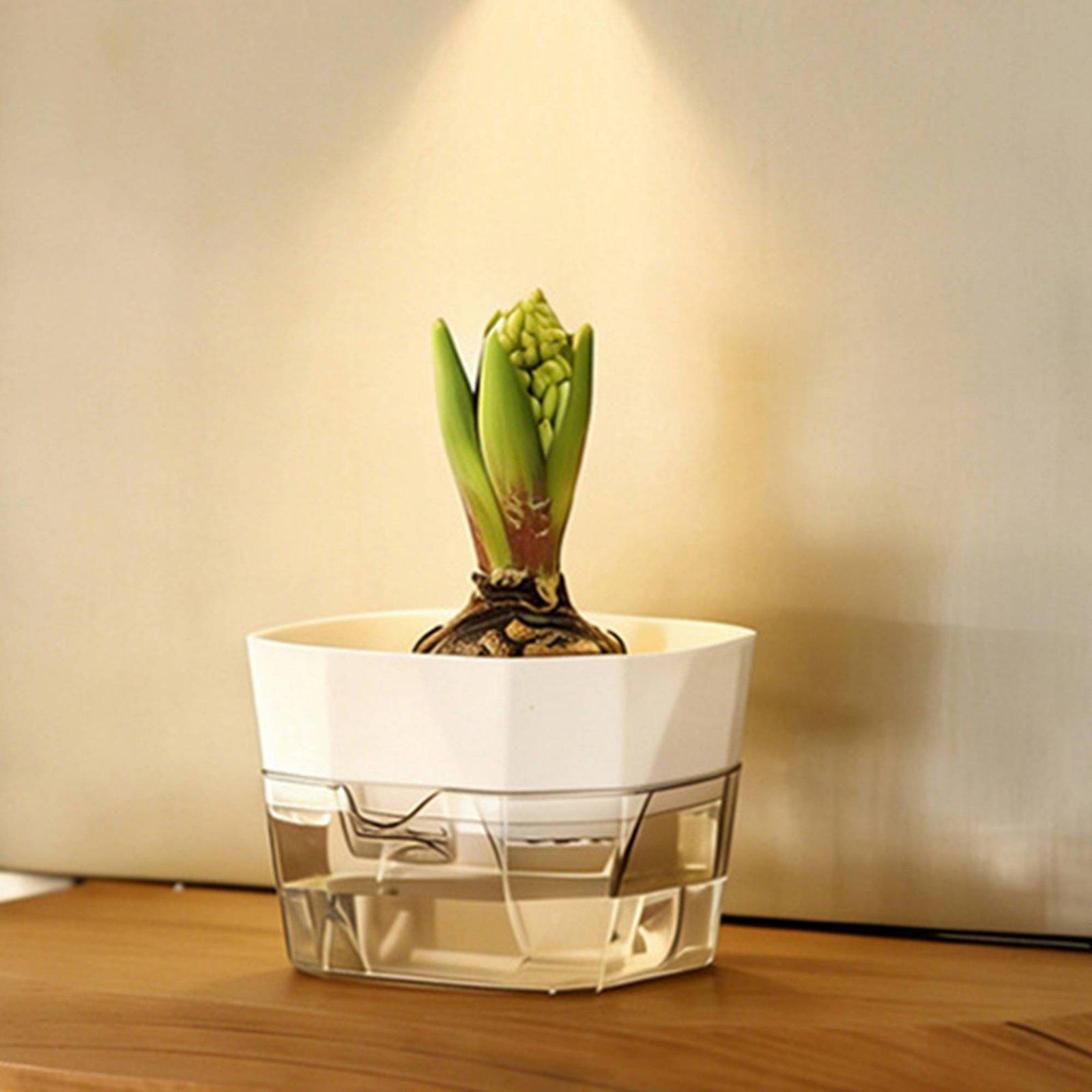 Hydroponische Vase mit Zwei Sc – Self Watering Planter Bewertung und Preis