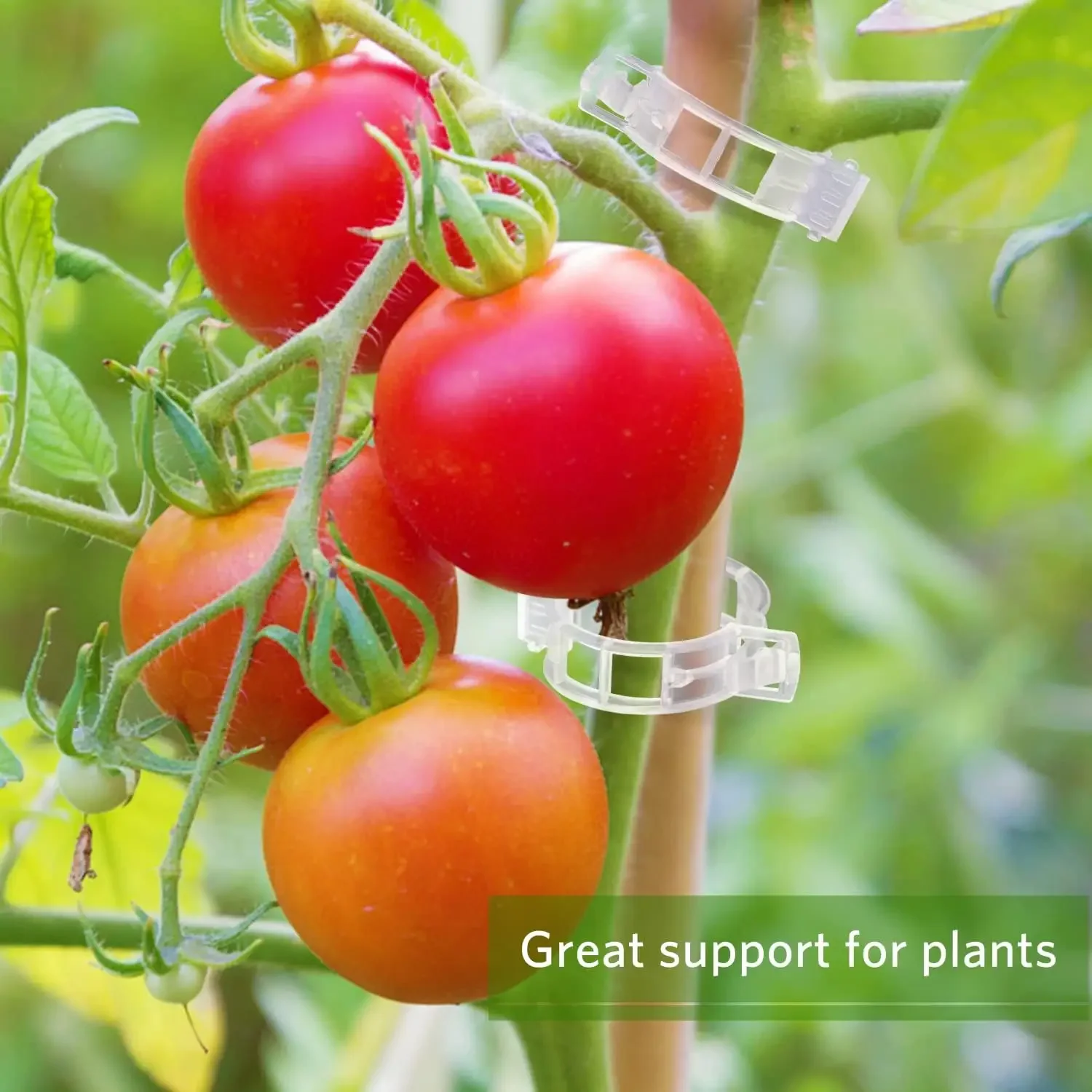 Pflanzenstützclips Wiederverwe – Smart Garden Kit Bewertung und Preis