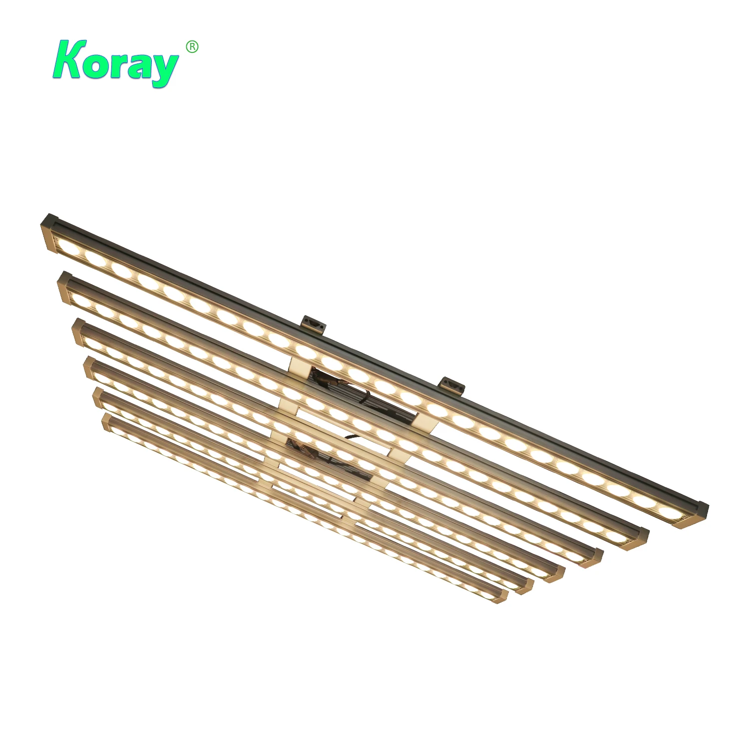 Koray 900W Indoor Vollspektrum – Plant Grow Light Full Spectrum Bewertung und Preis