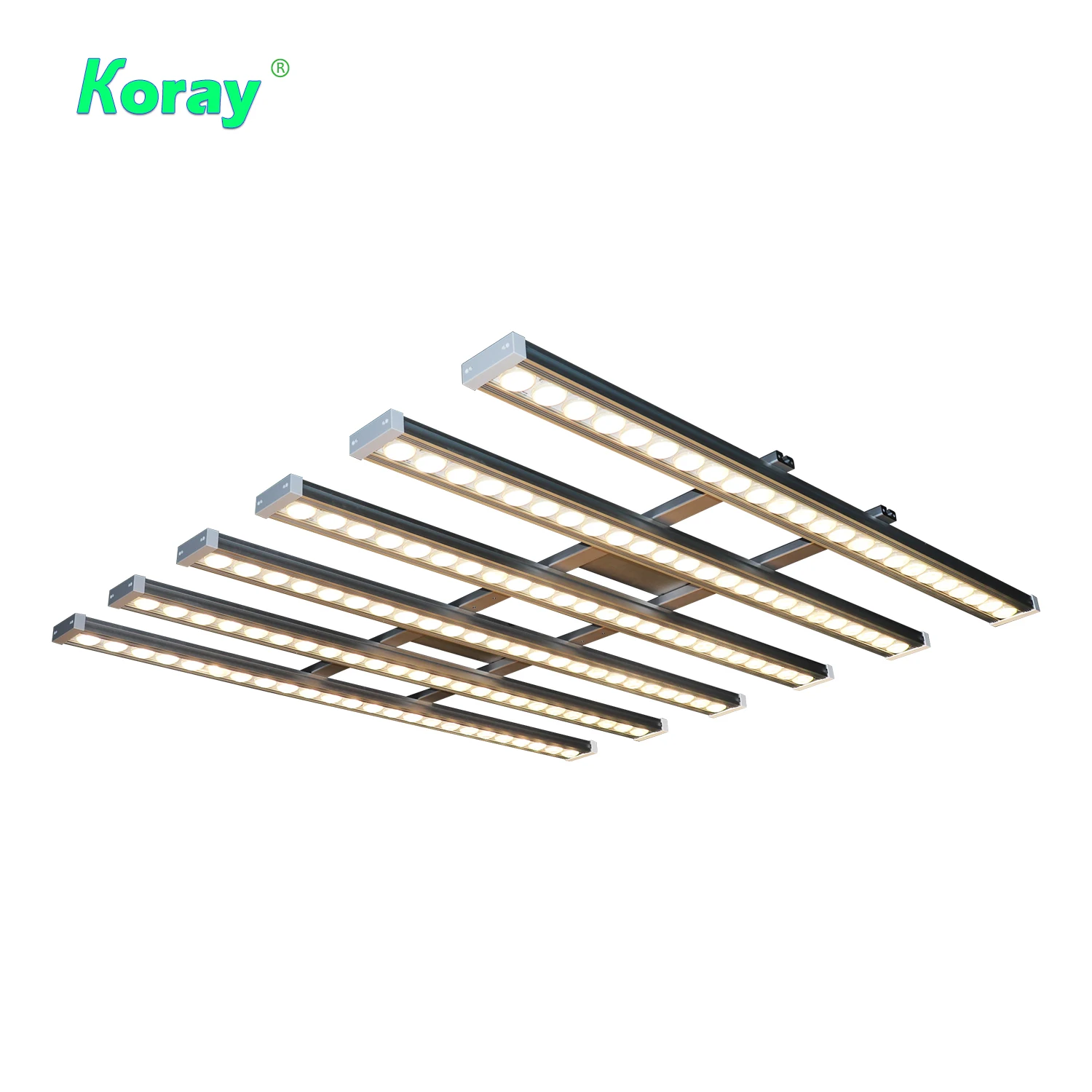 Koray 900W Indoor Vollspektrum – Plant Grow Light Full Spectrum Bewertung und Preis
