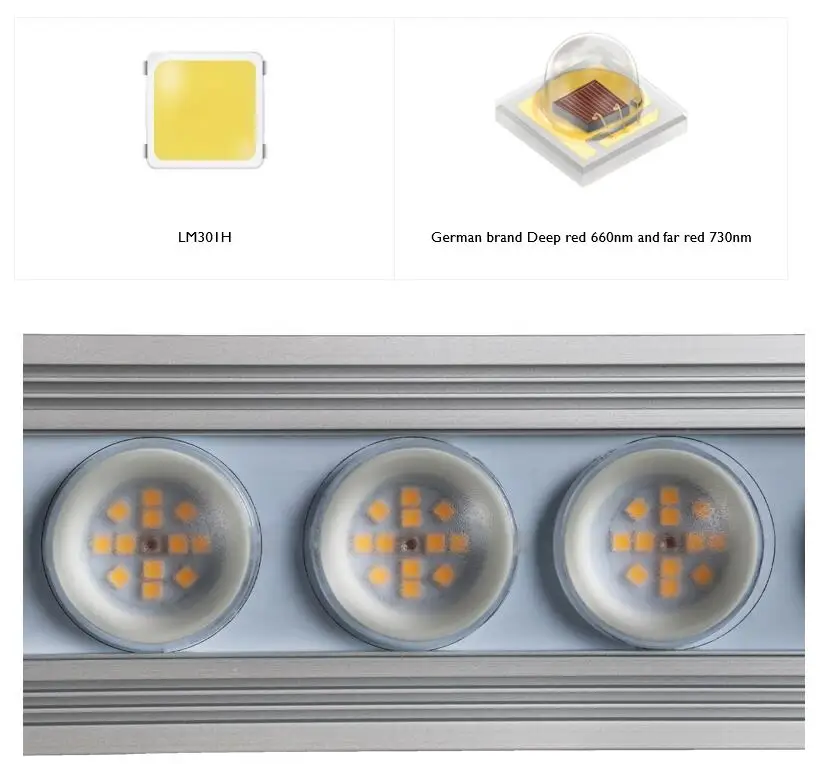 Koray 900W Indoor Vollspektrum – Plant Grow Light Full Spectrum Bewertung und Preis